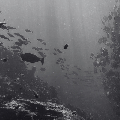Dive Deeper: Expert Insights on Ocean’s Skincare Secrets