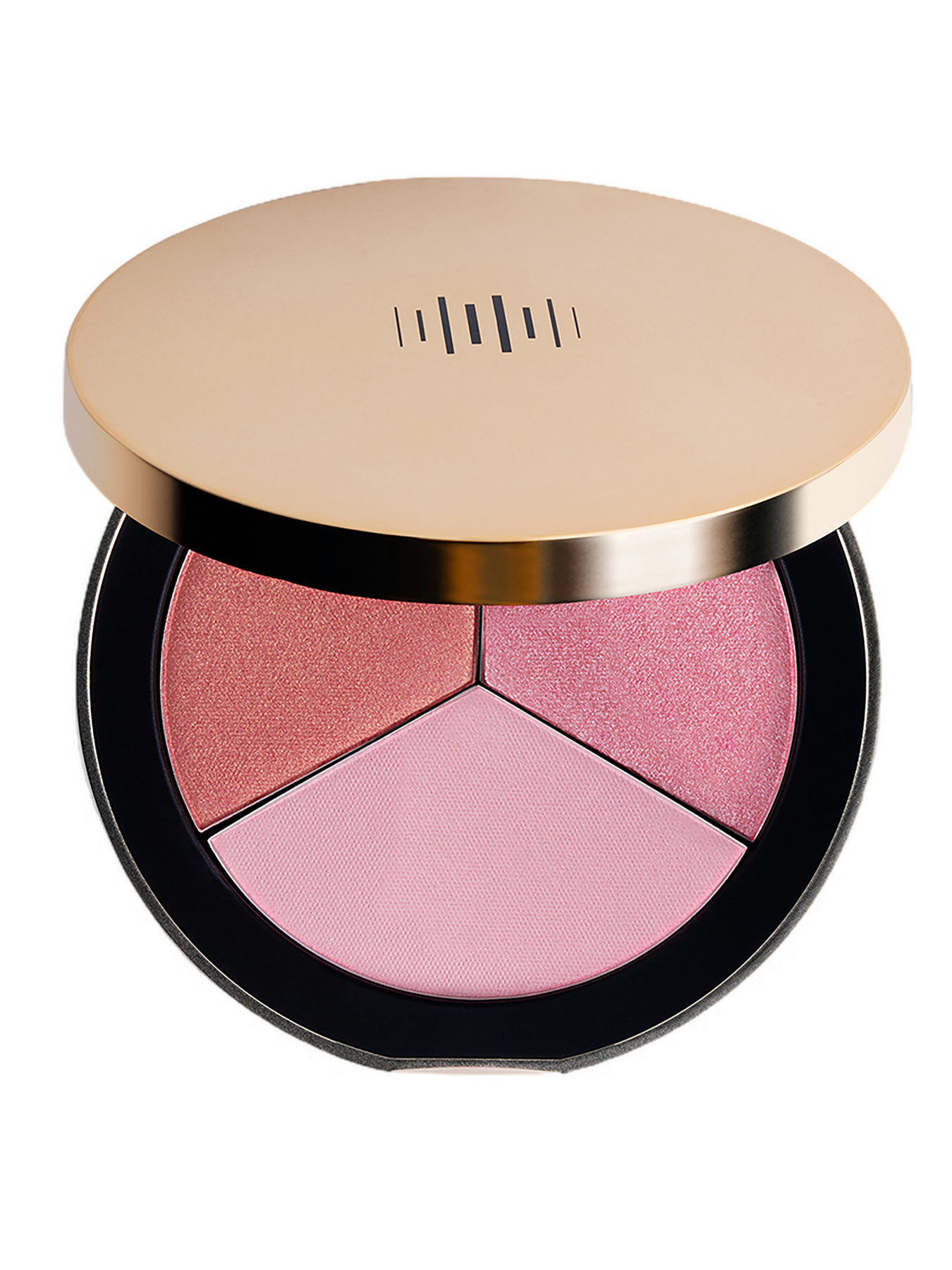 Blush Palette  Beautyque NYC